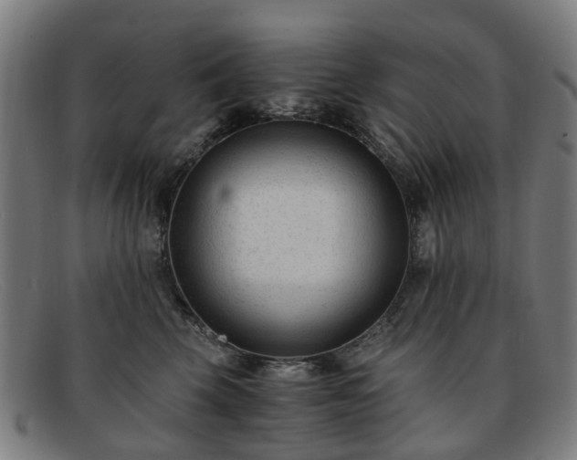 X0000091880569200709121415