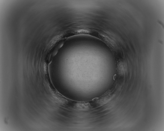 X0000091880571200709121416