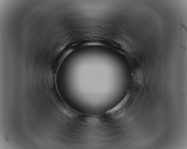 X0000091880572200709121416