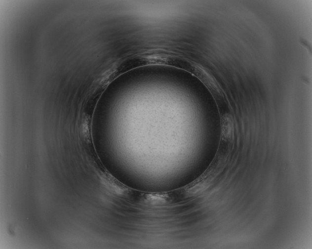 X0000091880573200709121416