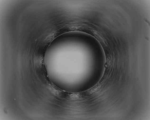 X0000091880574200709121416