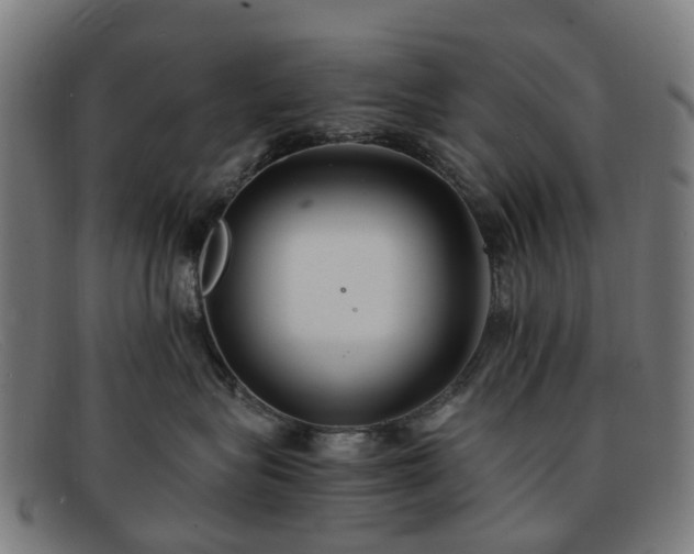 X0000091880575200709121416