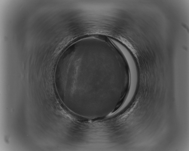 X0000091880577200709121415