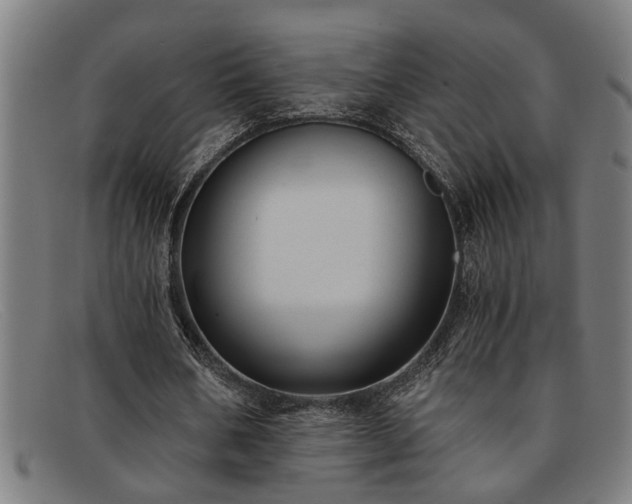 X0000091880578200709121415