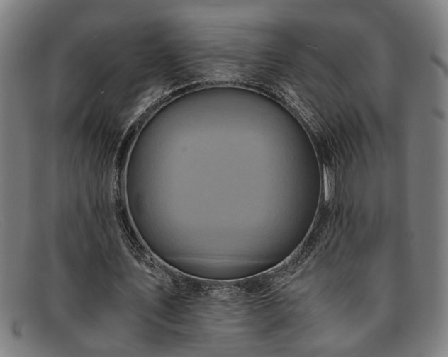 X0000091880579200709121415