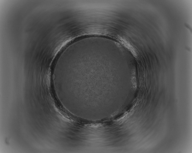 X0000091880580200709121415