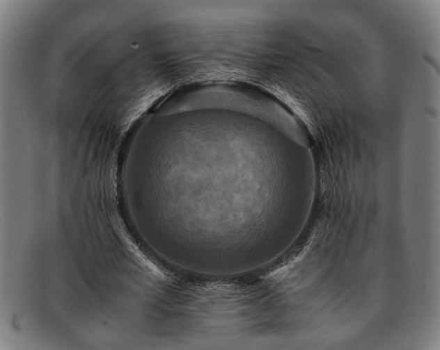 X0000091880581200709121415