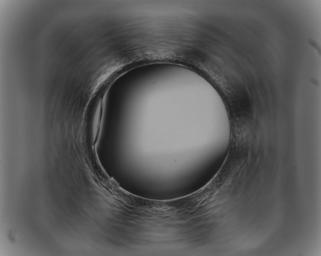 X0000091880583200709121415