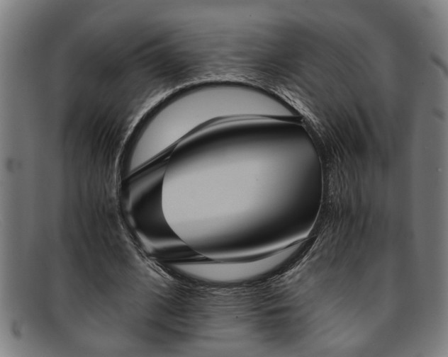 X0000091880584200709121415