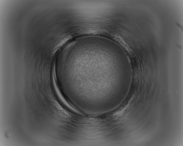 X0000091880585200709121415