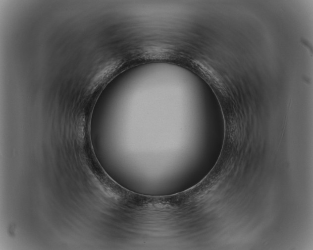 X0000091880586200709121415