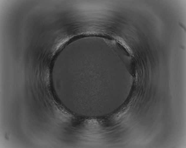 X0000091880588200709121415