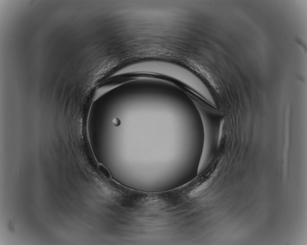 X0000091880589200709121415