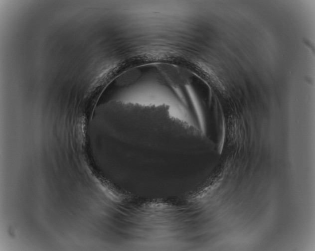 X0000091880590200709121415