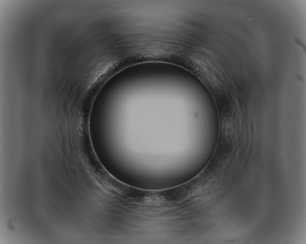 X0000091880591200709121415