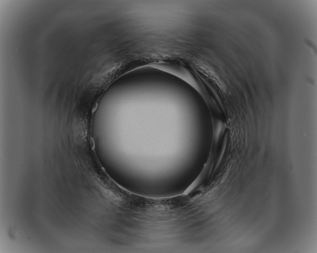 X0000091880593200709121415