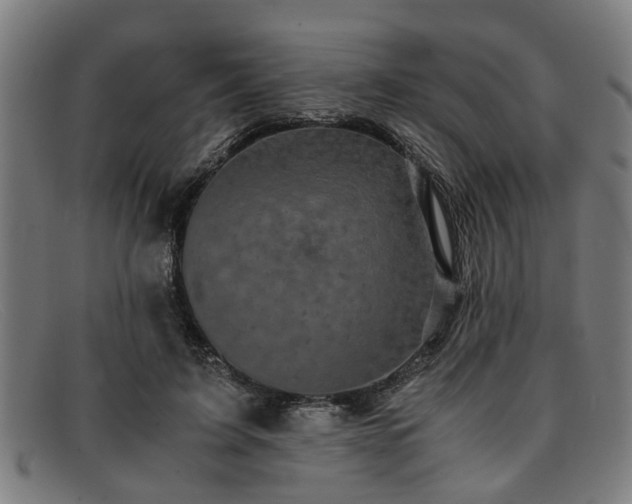 X0000091880595200709121415