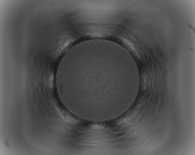 X0000091880596200709121415