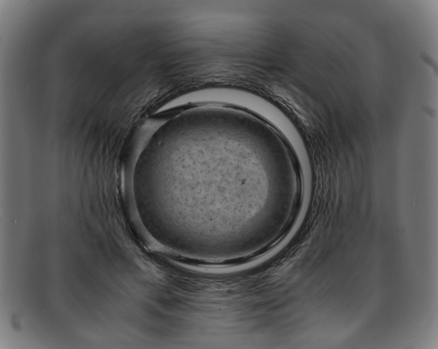 X0000091880597200709121415