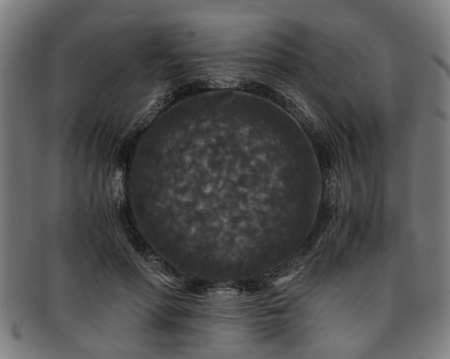 X0000091880598200709121415