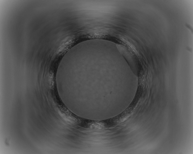 X0000091880599200709121415