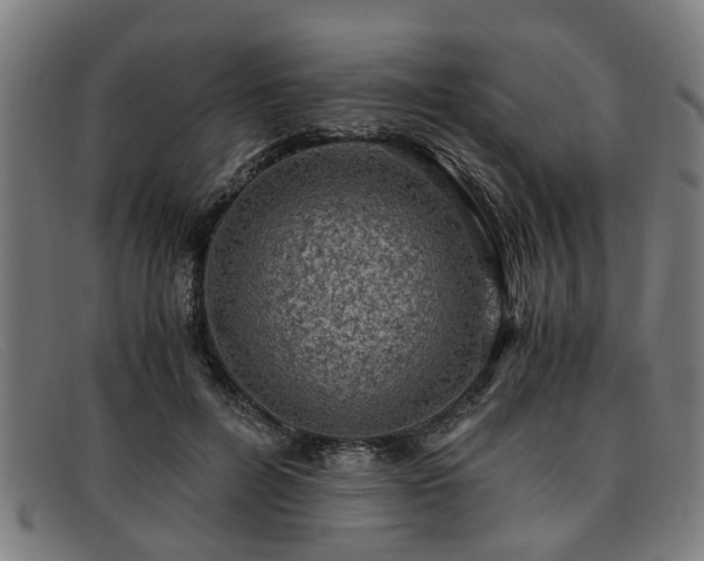 X0000091880600200709121415