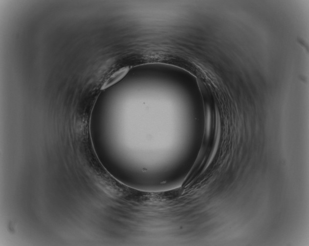 X0000091880601200709121415