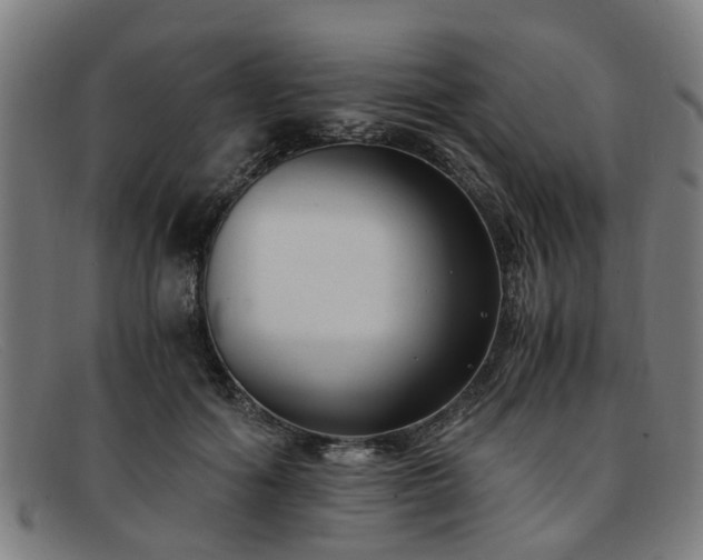 X0000091880602200709121415