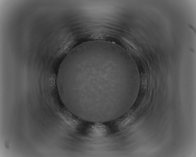 X0000091880603200709121415