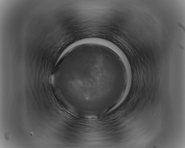 X0000091880604200709121415