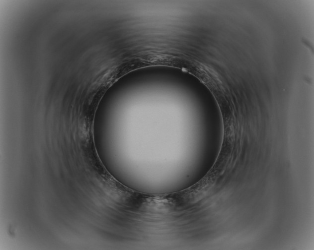 X0000091880607200709121415