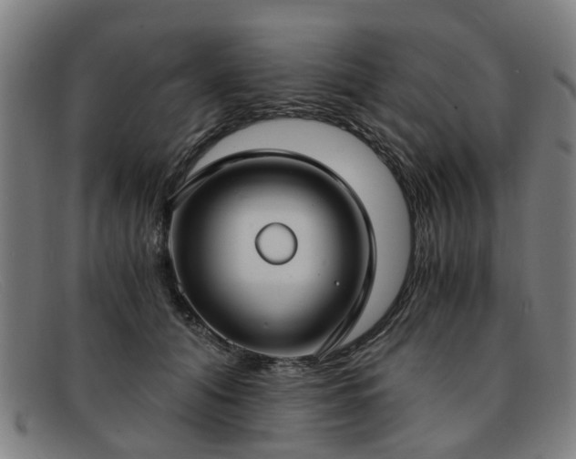 X0000091880608200709121415