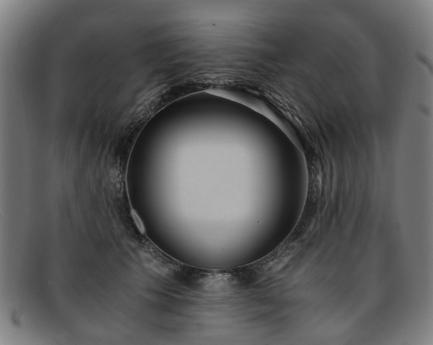 X0000091880609200709121415