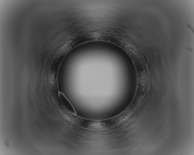 X0000091880611200709121415