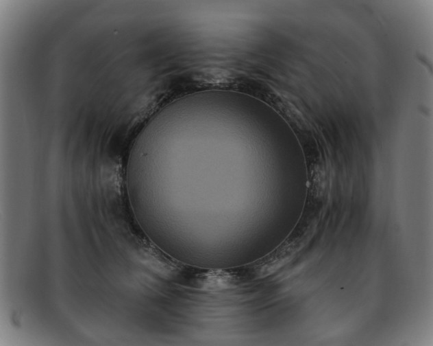 X0000091880612200709121415