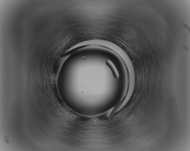 X0000091880613200709121415