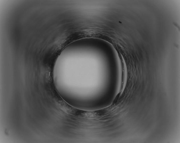 X0000091880615200709121415