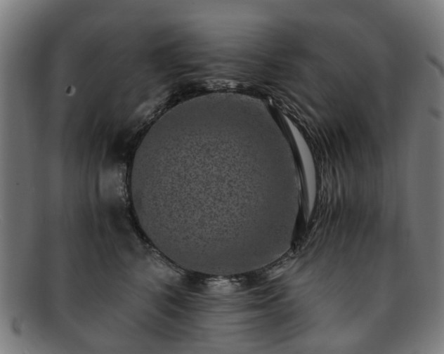 X0000091880616200709121415