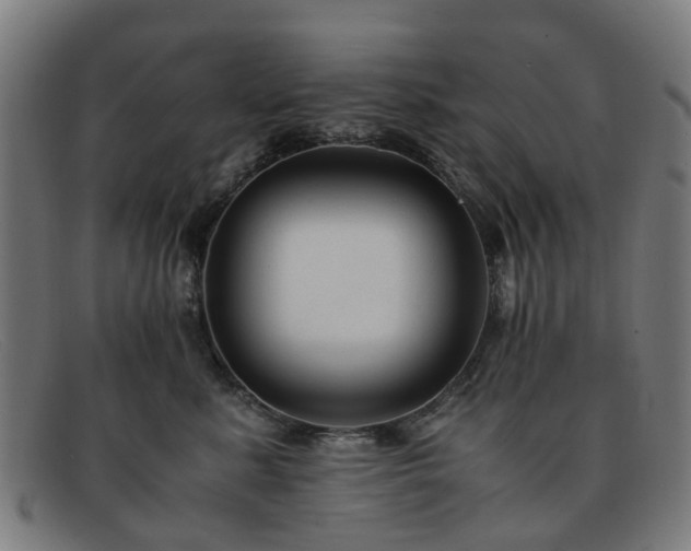 X0000091880619200709121415