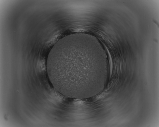 X0000091880620200709121415