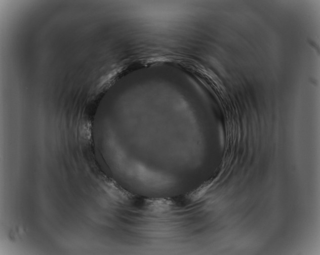 X0000091880621200709121414