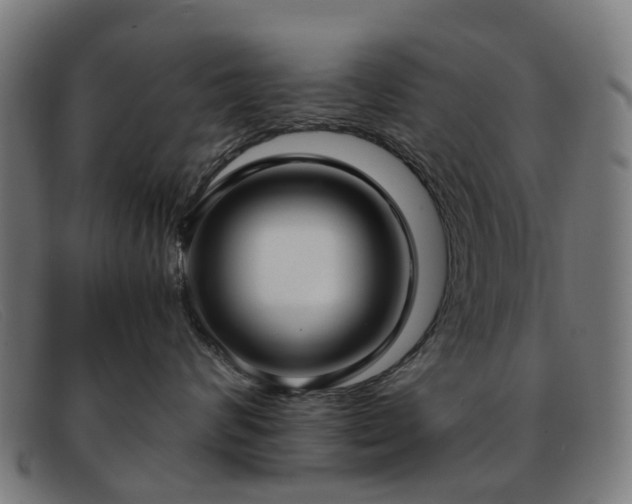 X0000091880624200709121414