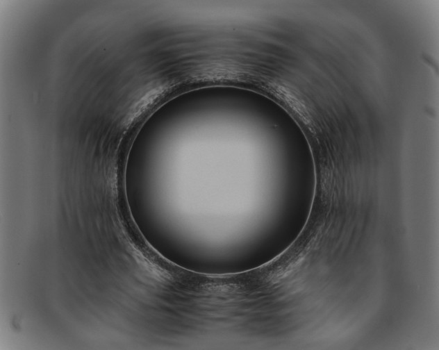 X0000091880629200709121414