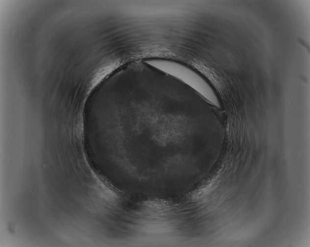 X0000091880630200709121414