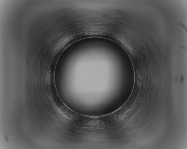 X0000091880631200709121414