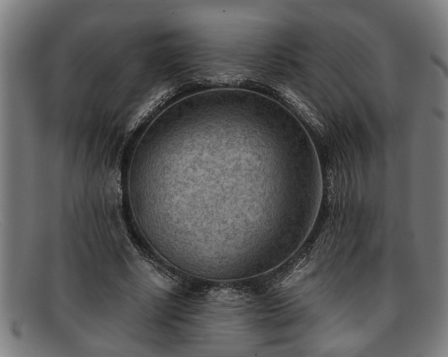 X0000091880634200709121414