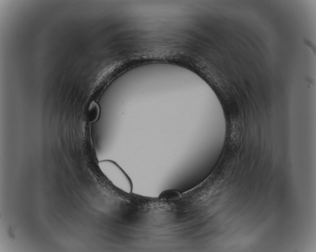 X0000091880636200709121414