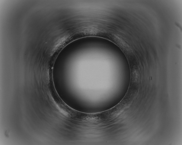 X0000091880638200709121414