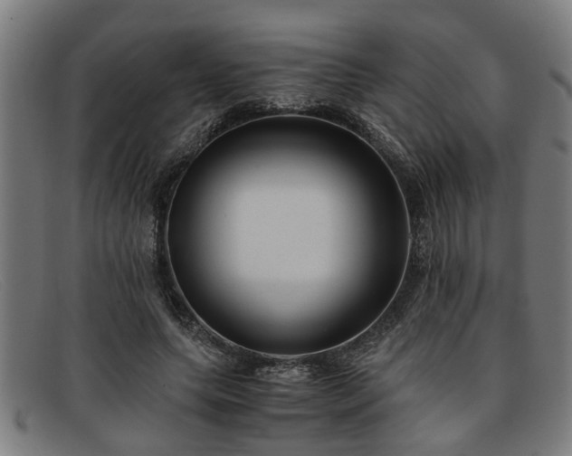 X0000091880639200709121414