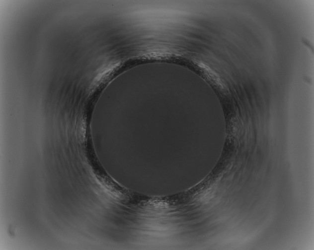 X0000091880640200709121414